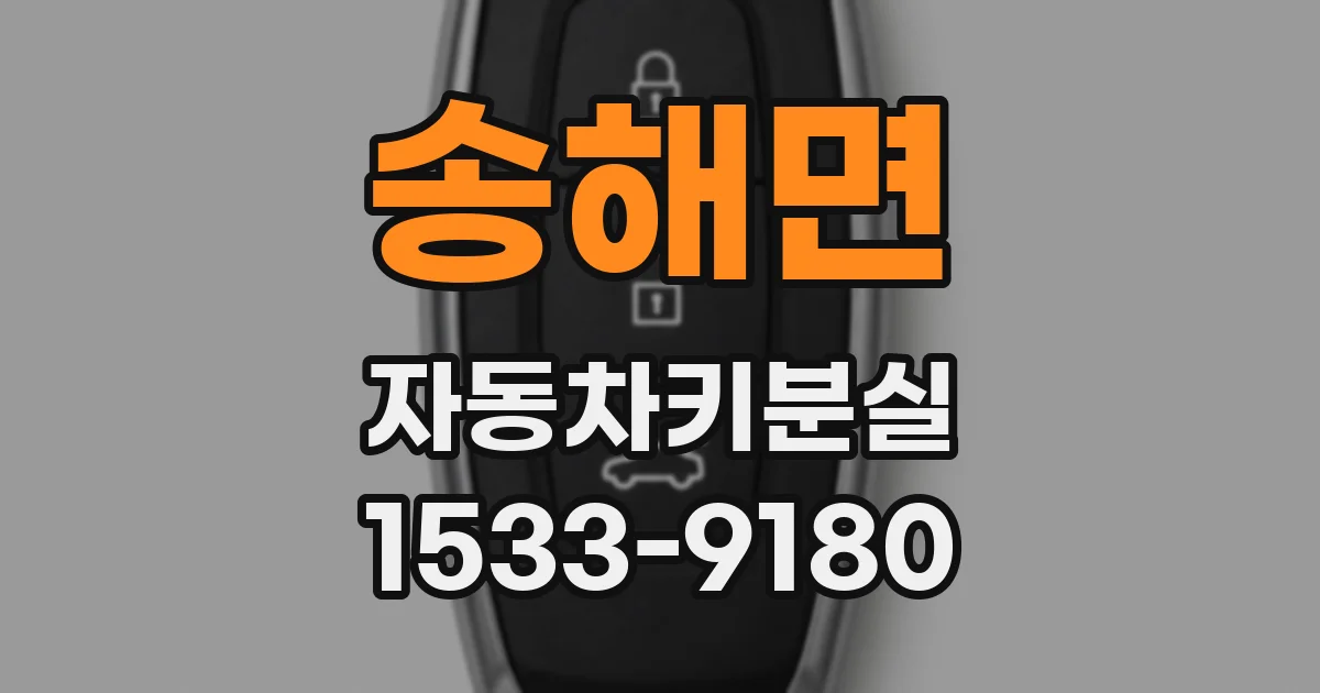 송해면 자동차키분실