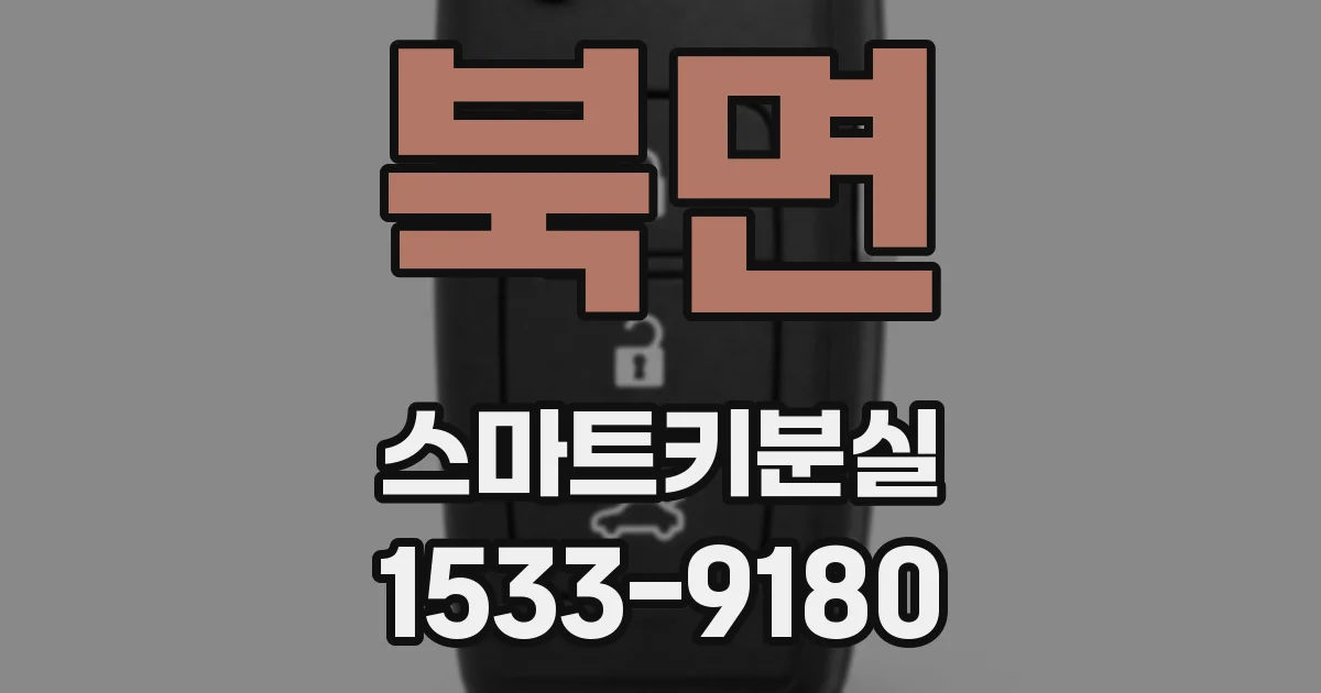 북면 스마트키분실