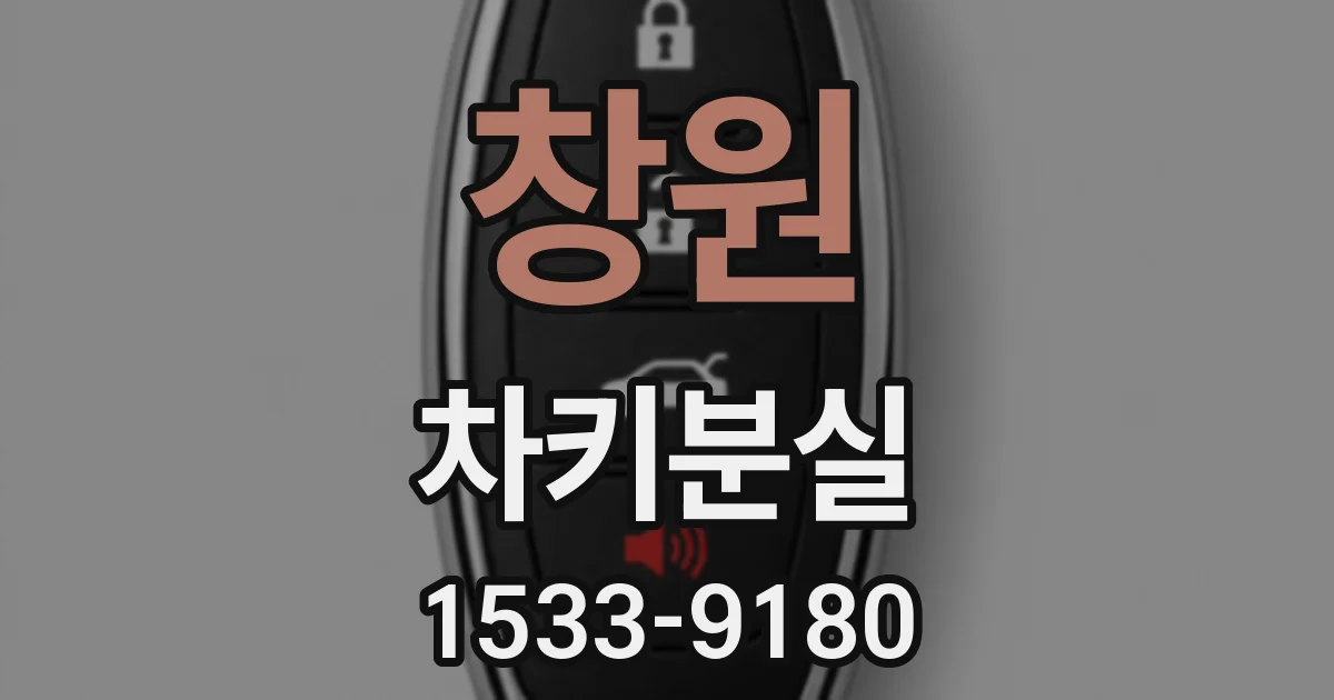 창원 차키분실