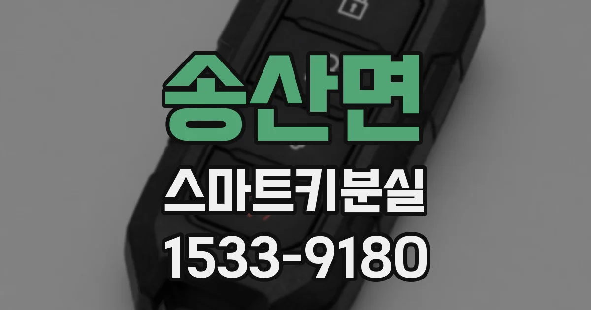 송산면 스마트키분실