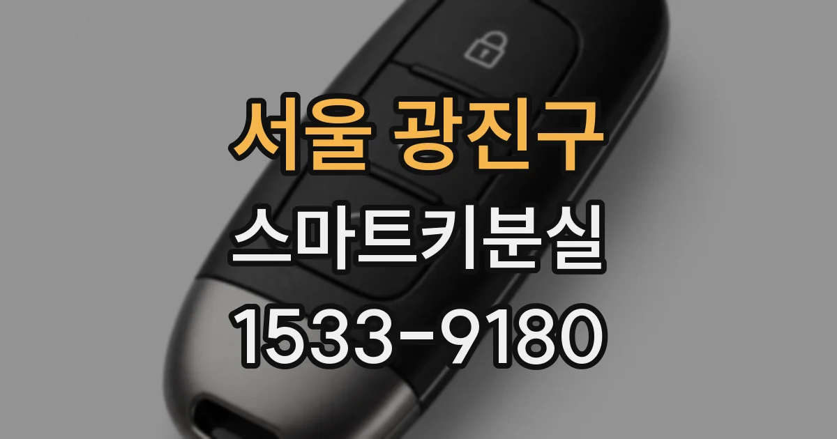 서울 광진구 스마트키분실