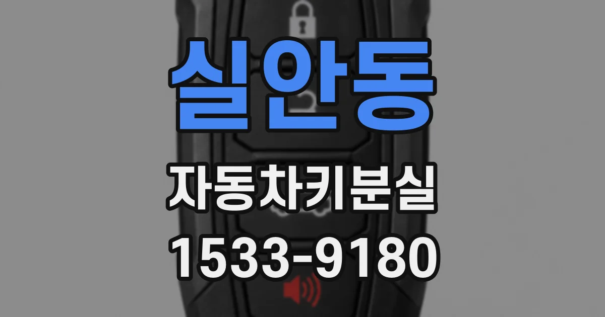 실안동 자동차키분실