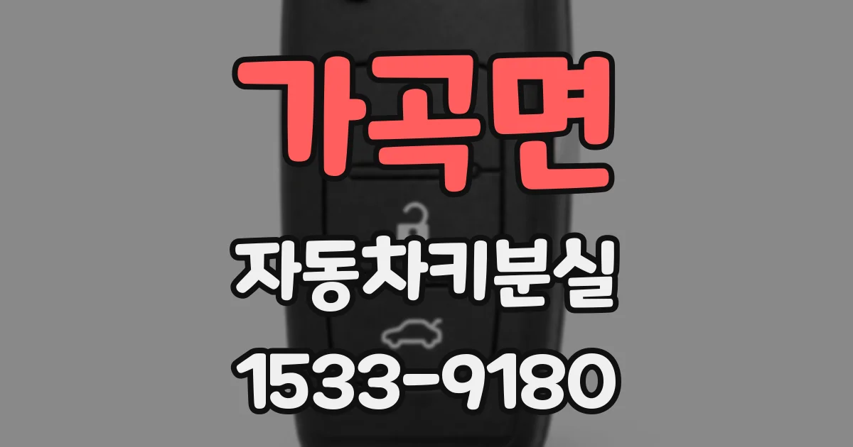 가곡면 자동차키분실