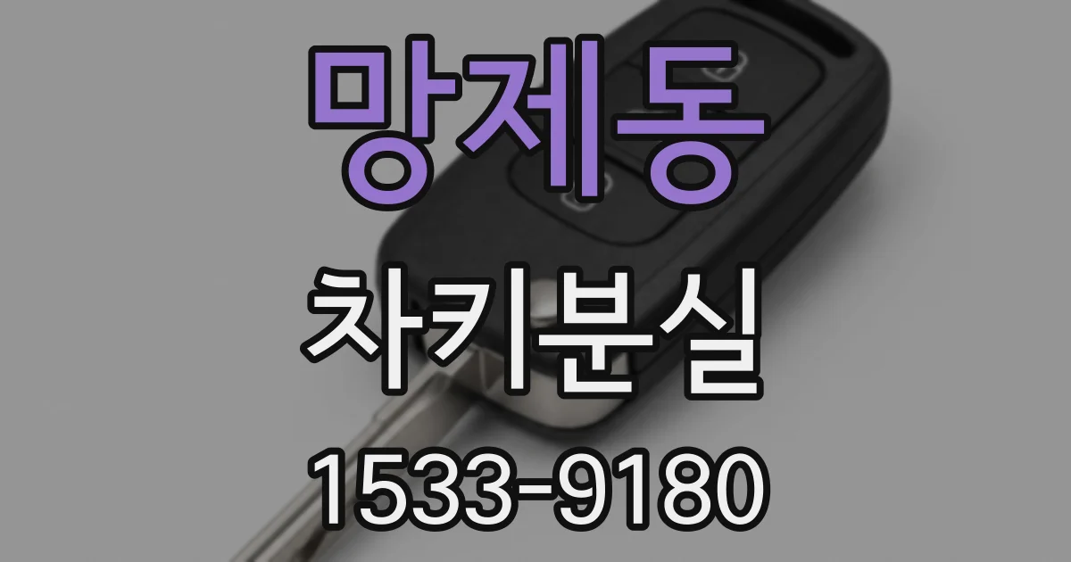망제동 차키분실