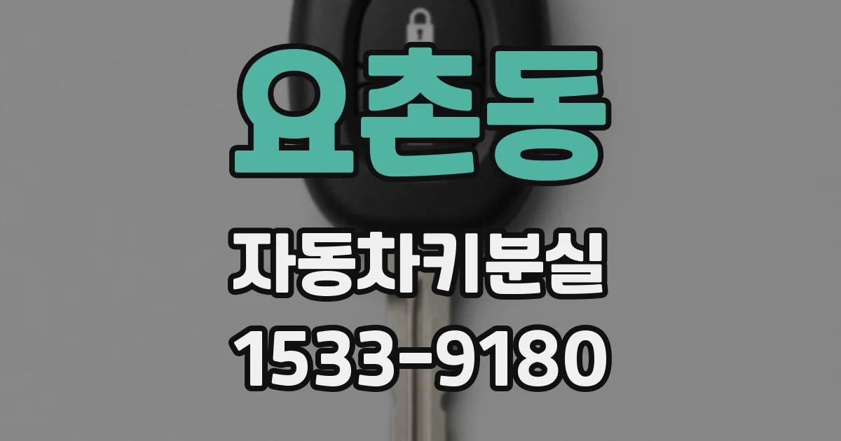 요촌동 자동차키분실