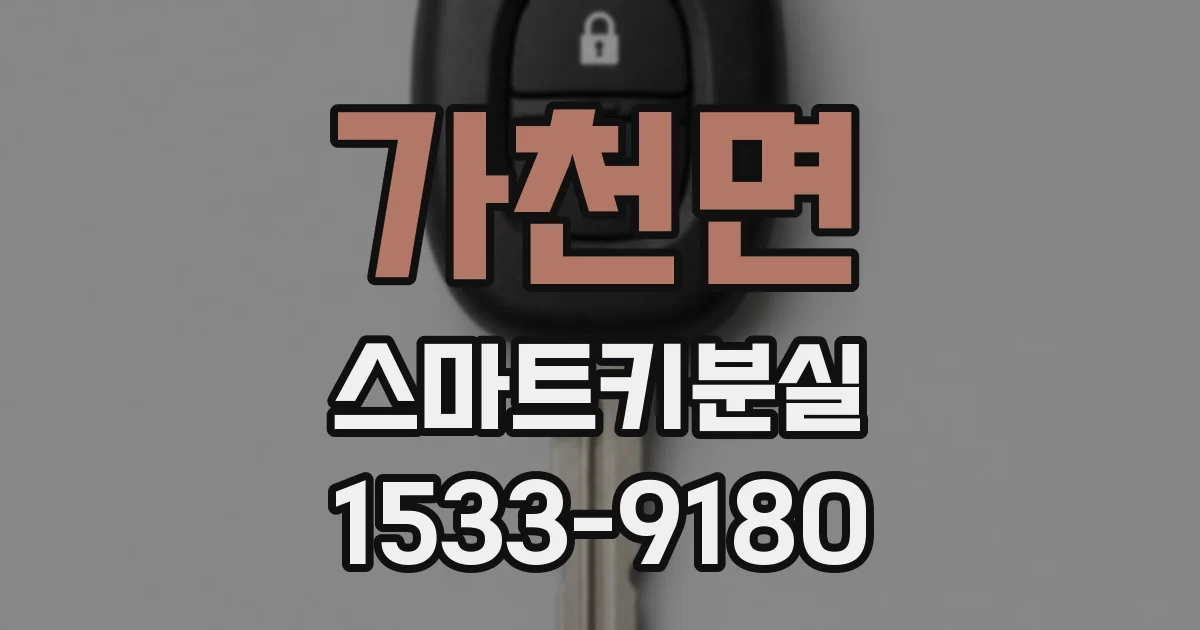 가천면 스마트키분실