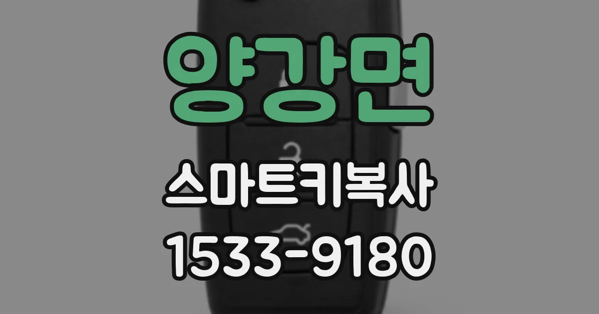 양강면 스마트키복사