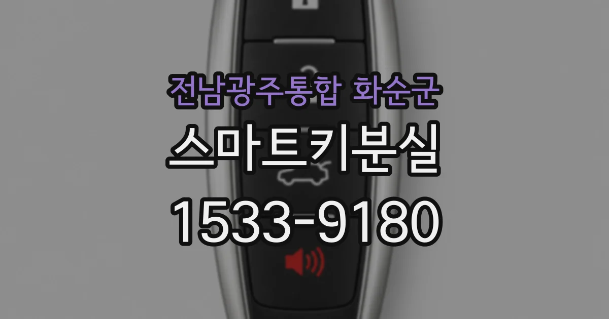 전남광주통합 화순군 스마트키분실