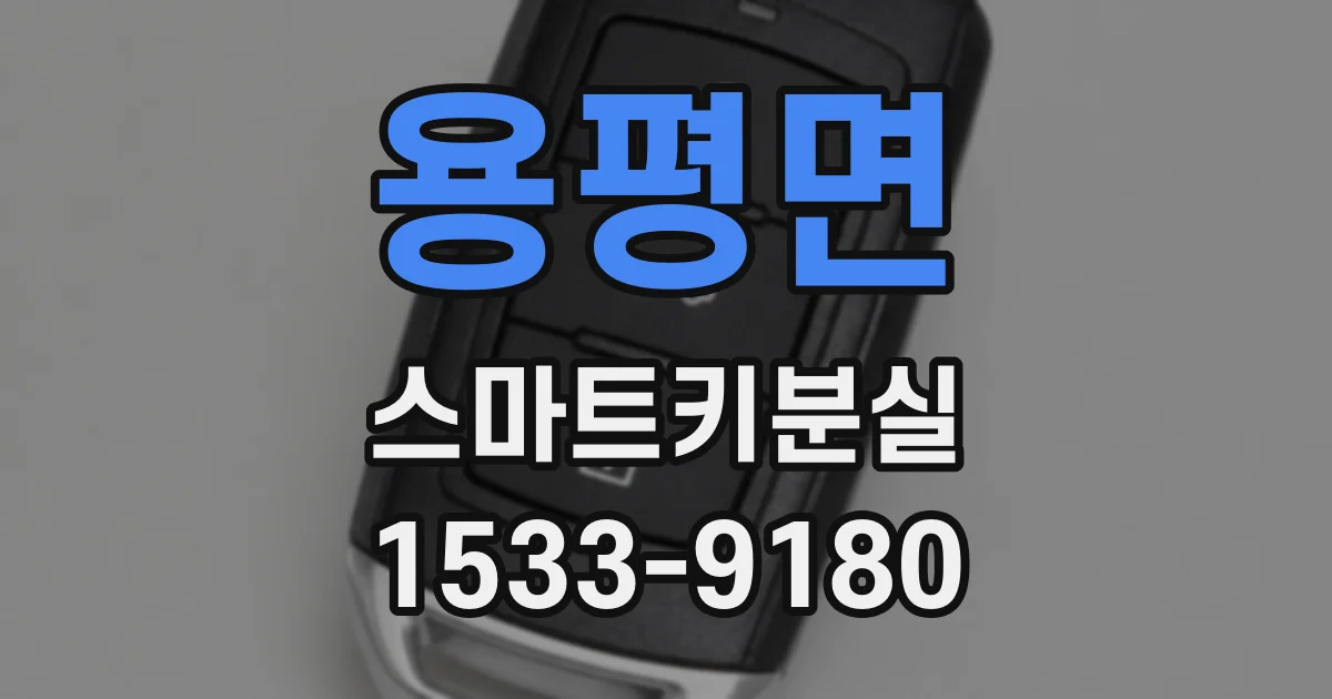 용평면 스마트키분실