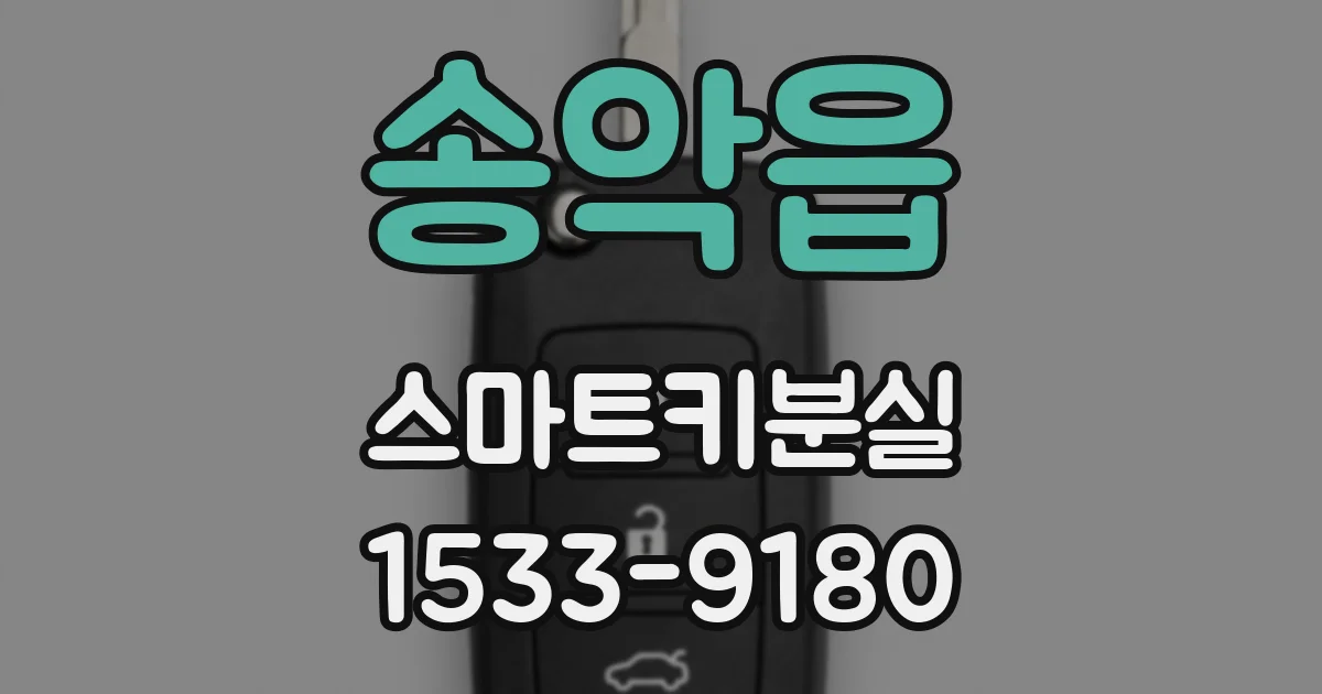 송악읍 스마트키분실