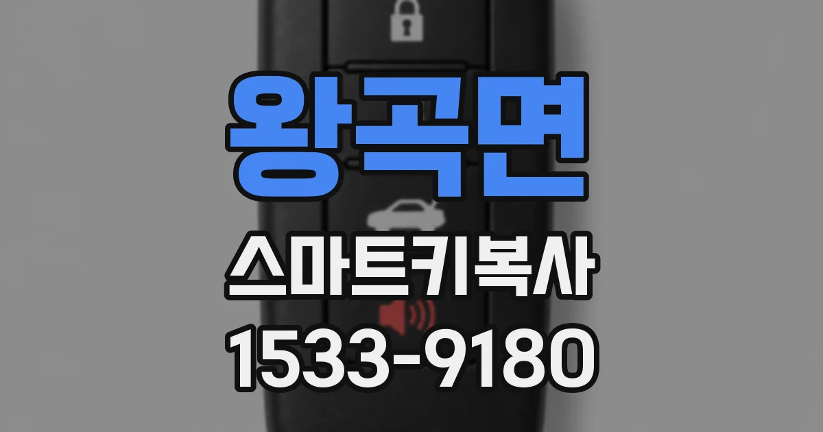 왕곡면 스마트키복사