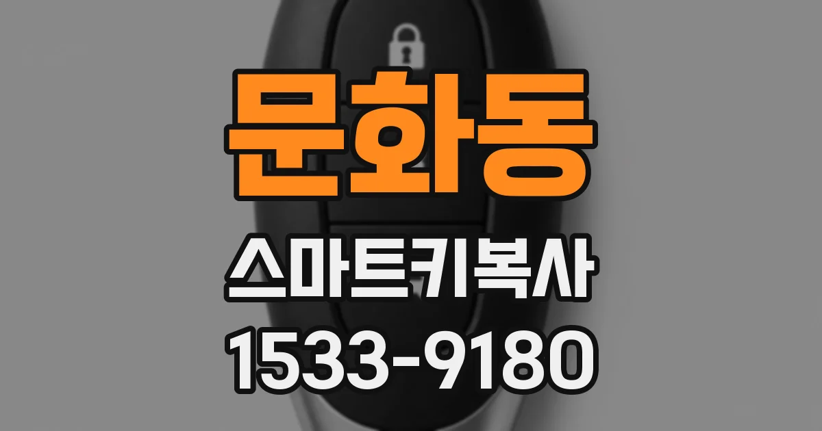 문화동 스마트키복사