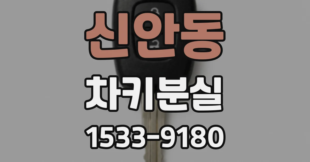 신안동 차키분실