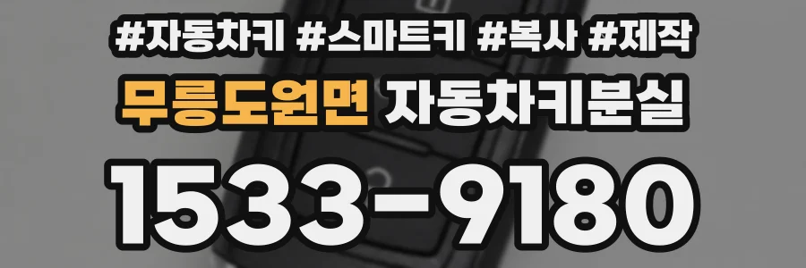 무릉도원면 자동차키분실