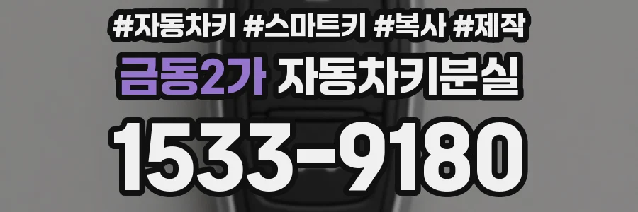 금동2가 자동차키분실