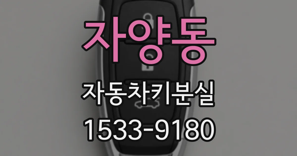 자양동 자동차키분실