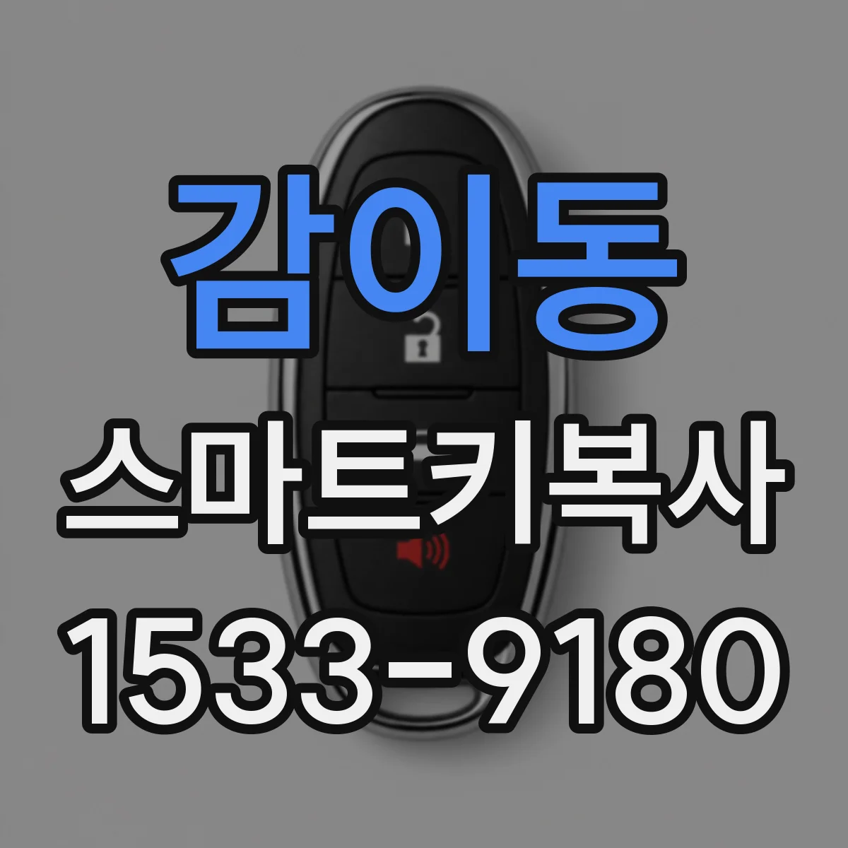 감이동 스마트키복사