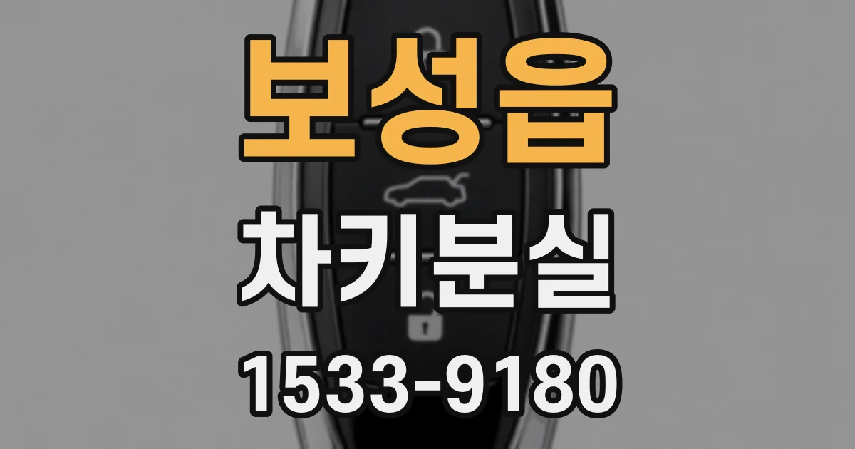 보성읍 차키분실