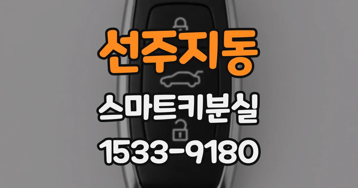 선주지동 스마트키분실