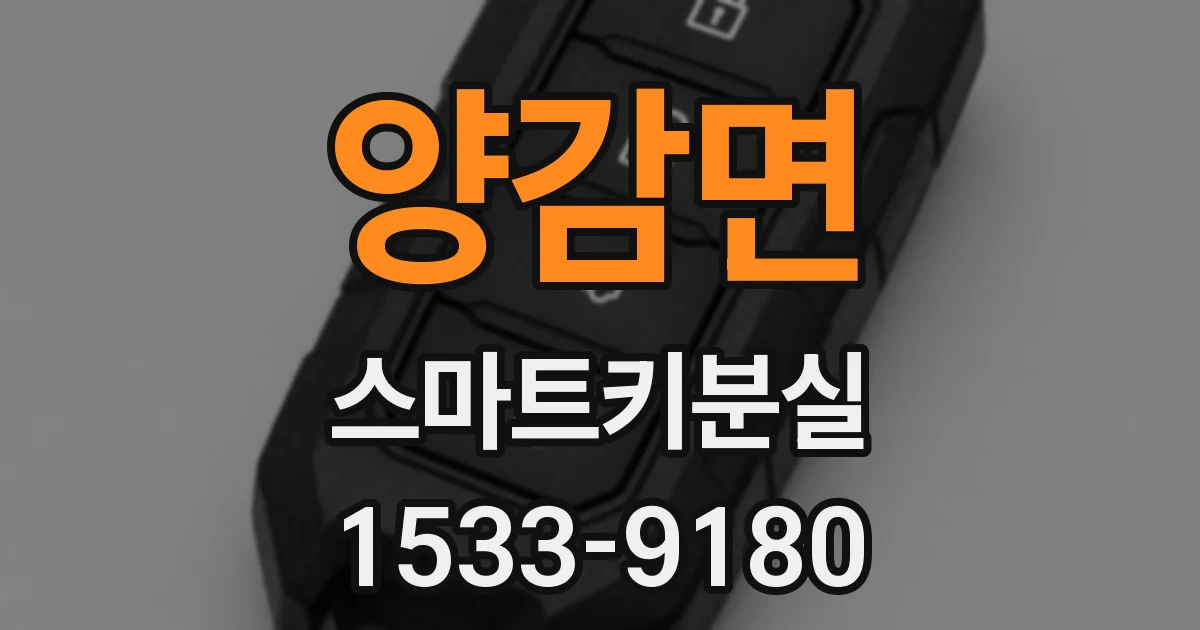 양감면 스마트키분실