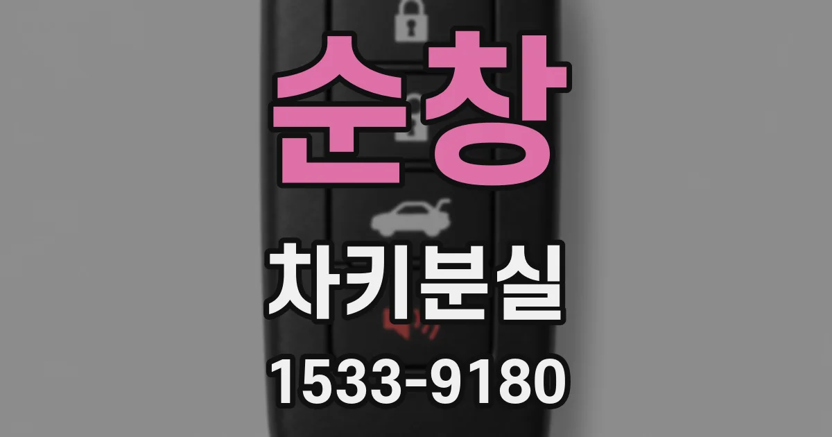 순창 차키분실