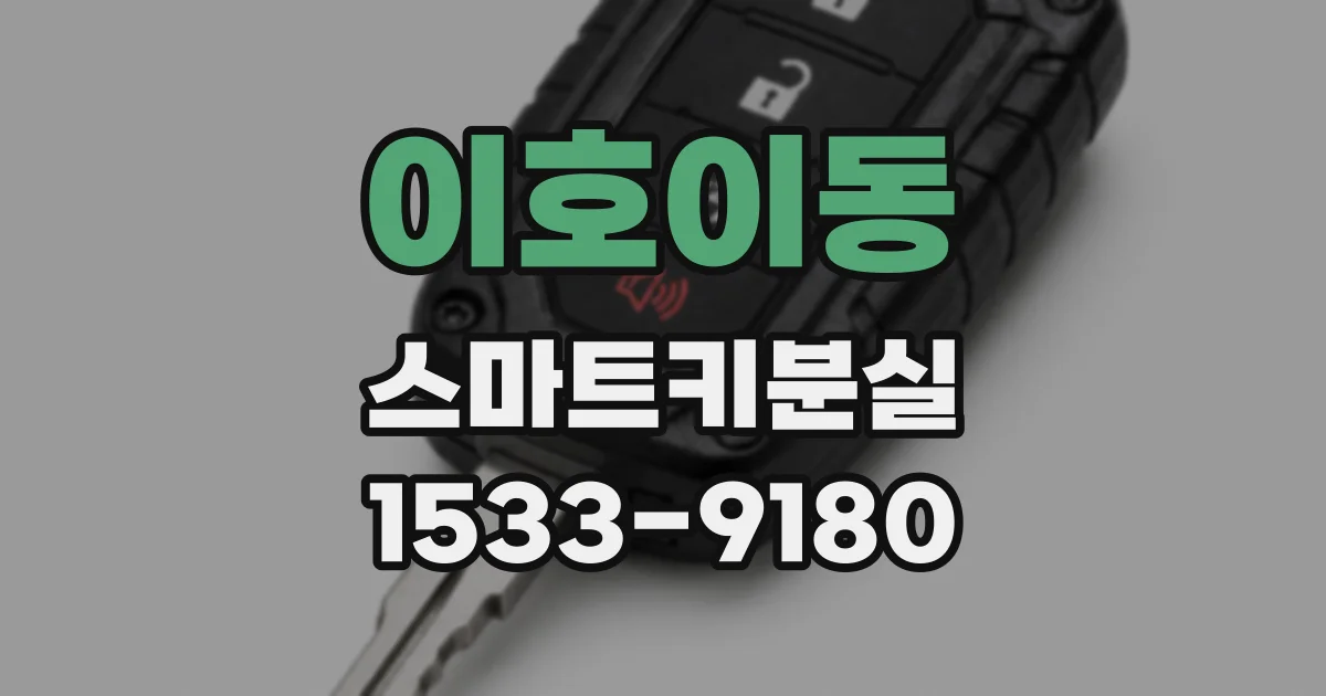이호이동 스마트키분실
