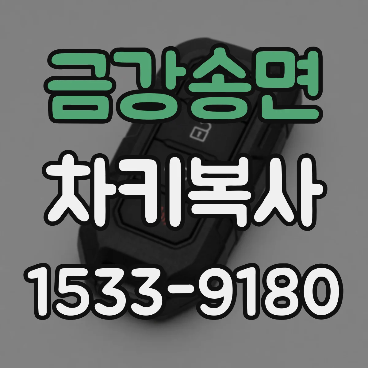 금강송면 차키복사