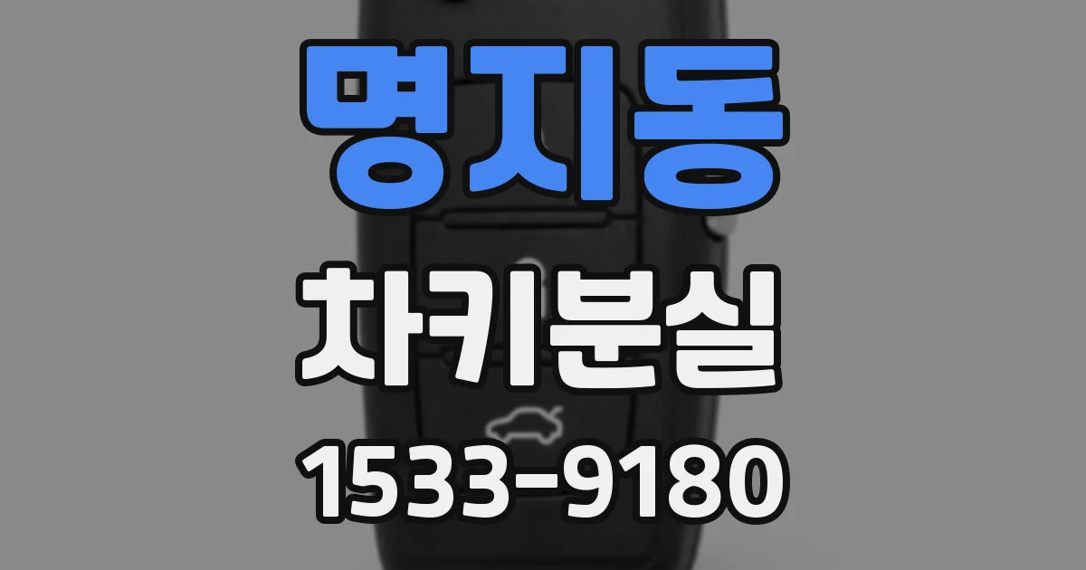 명지동 차키분실