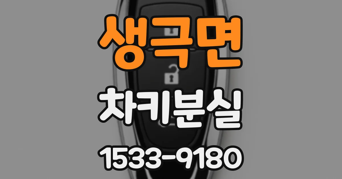 생극면 차키분실
