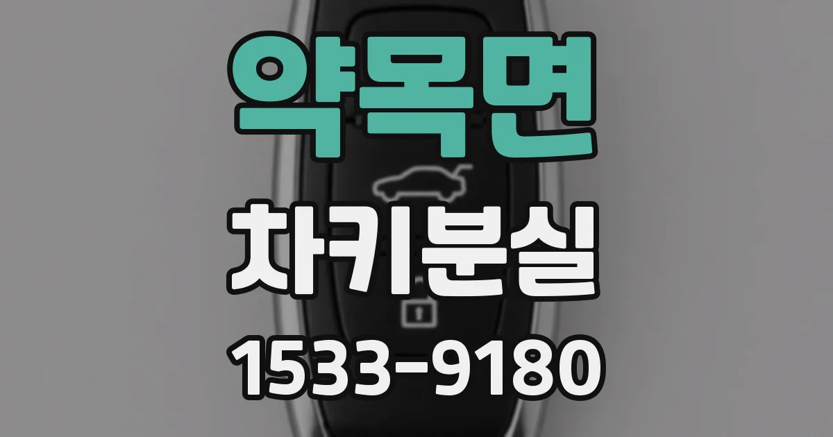 약목면 차키분실
