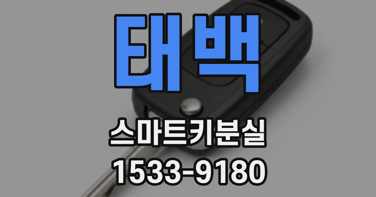 태백 스마트키분실