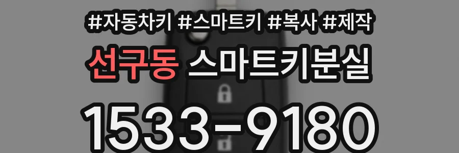 선구동 스마트키분실