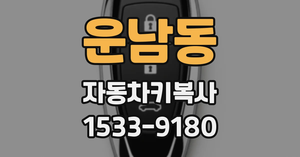 운남동 자동차키복사