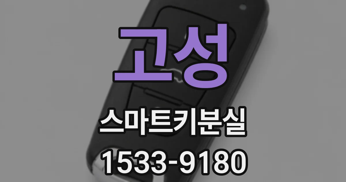 고성 스마트키분실
