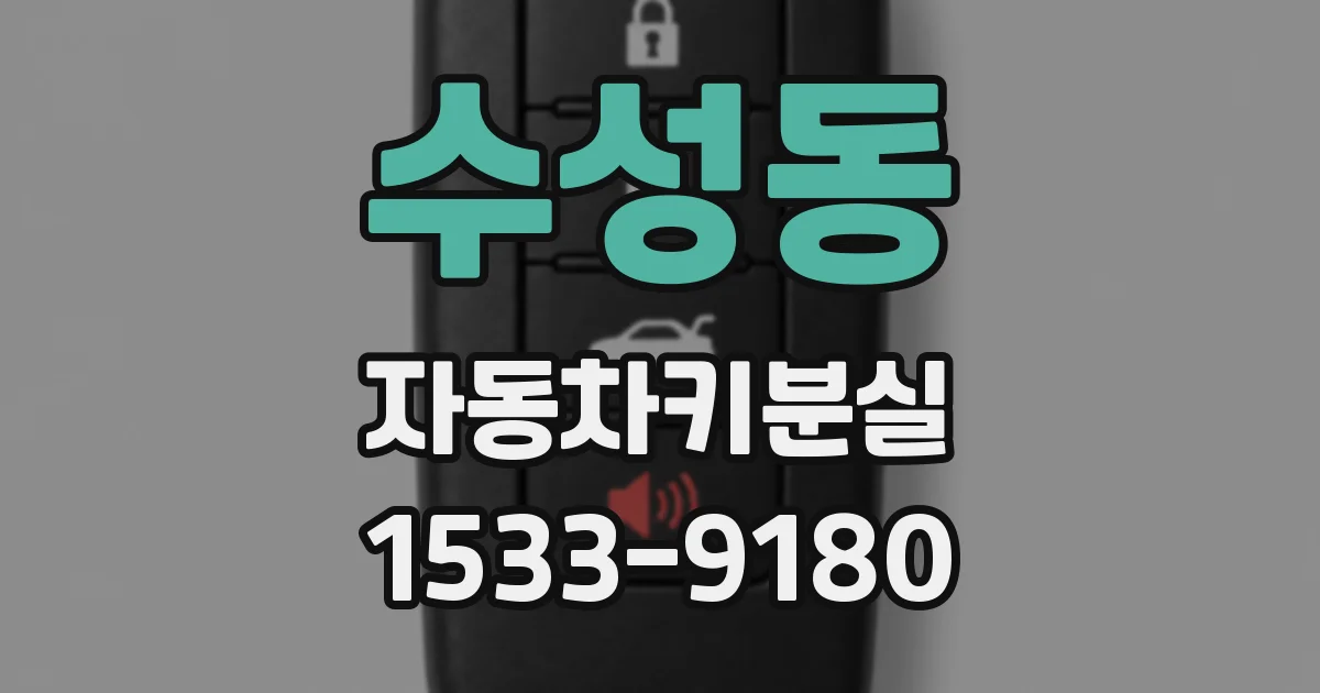 수성동 자동차키분실