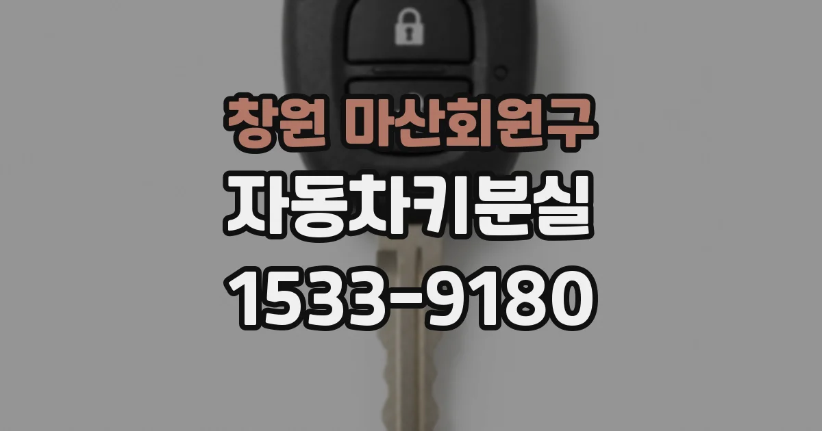 창원 마산회원구 자동차키분실