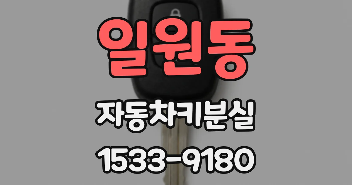 일원동 자동차키분실