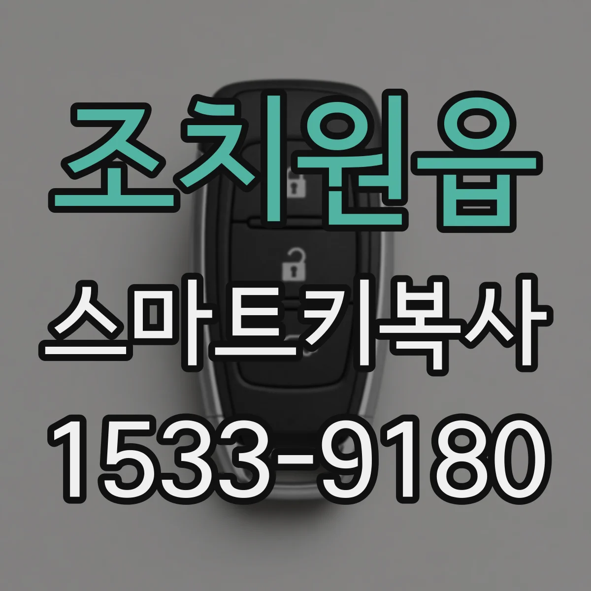 조치원읍 스마트키복사