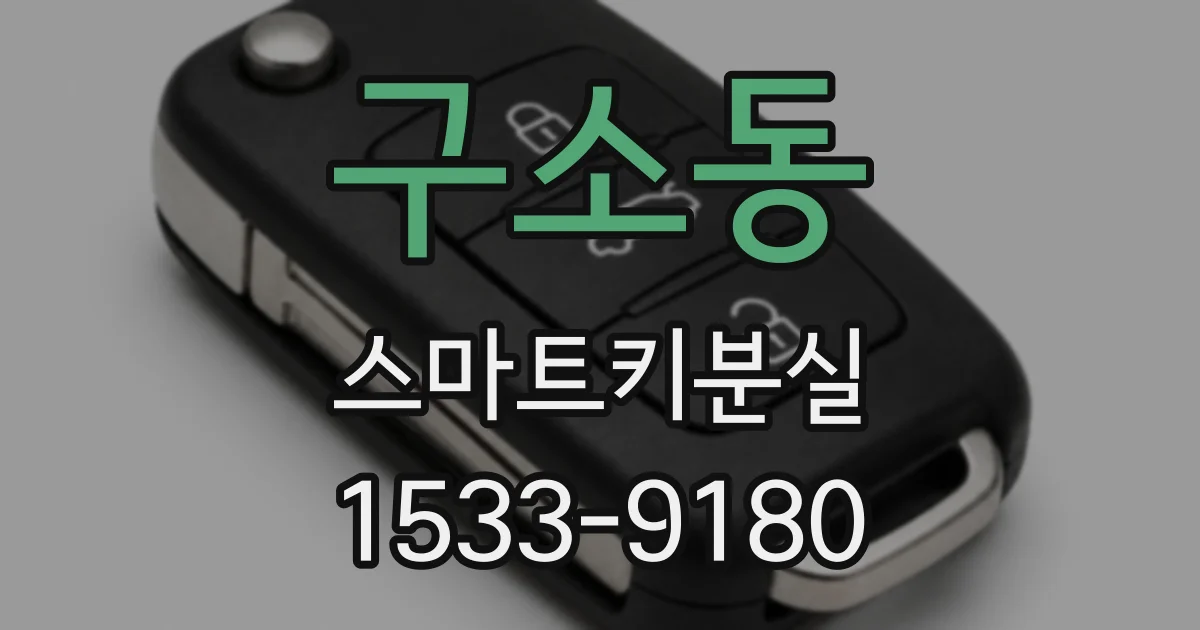 구소동 스마트키분실