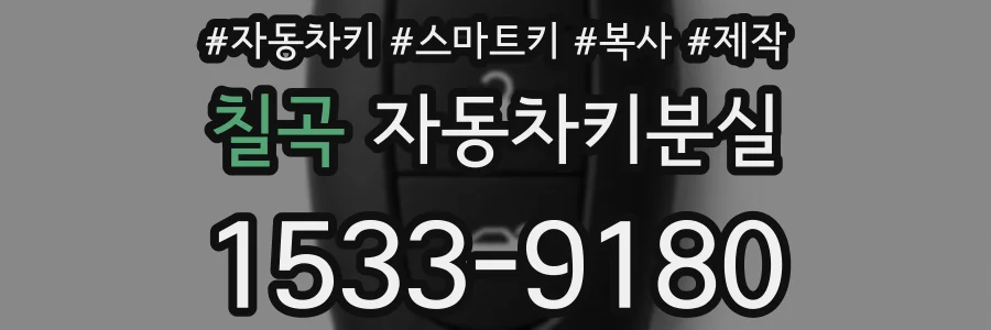 칠곡 자동차키분실