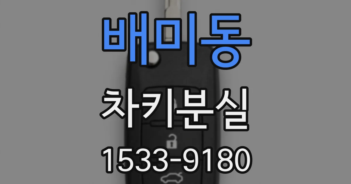 배미동 차키분실