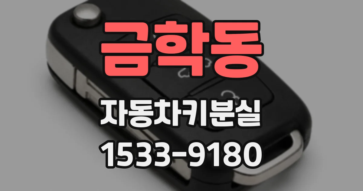 금학동 자동차키분실