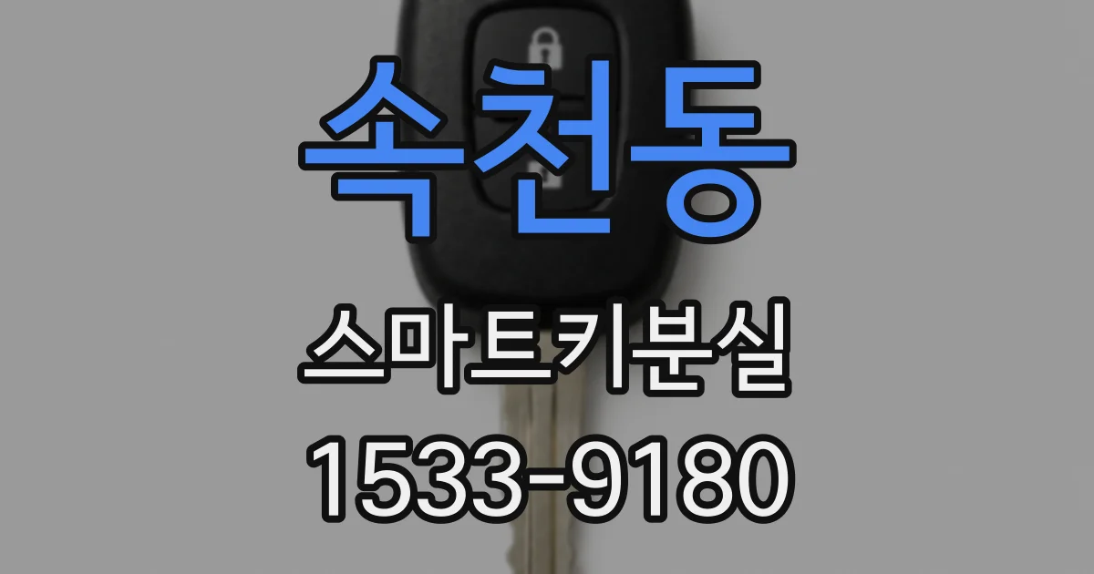 속천동 스마트키분실