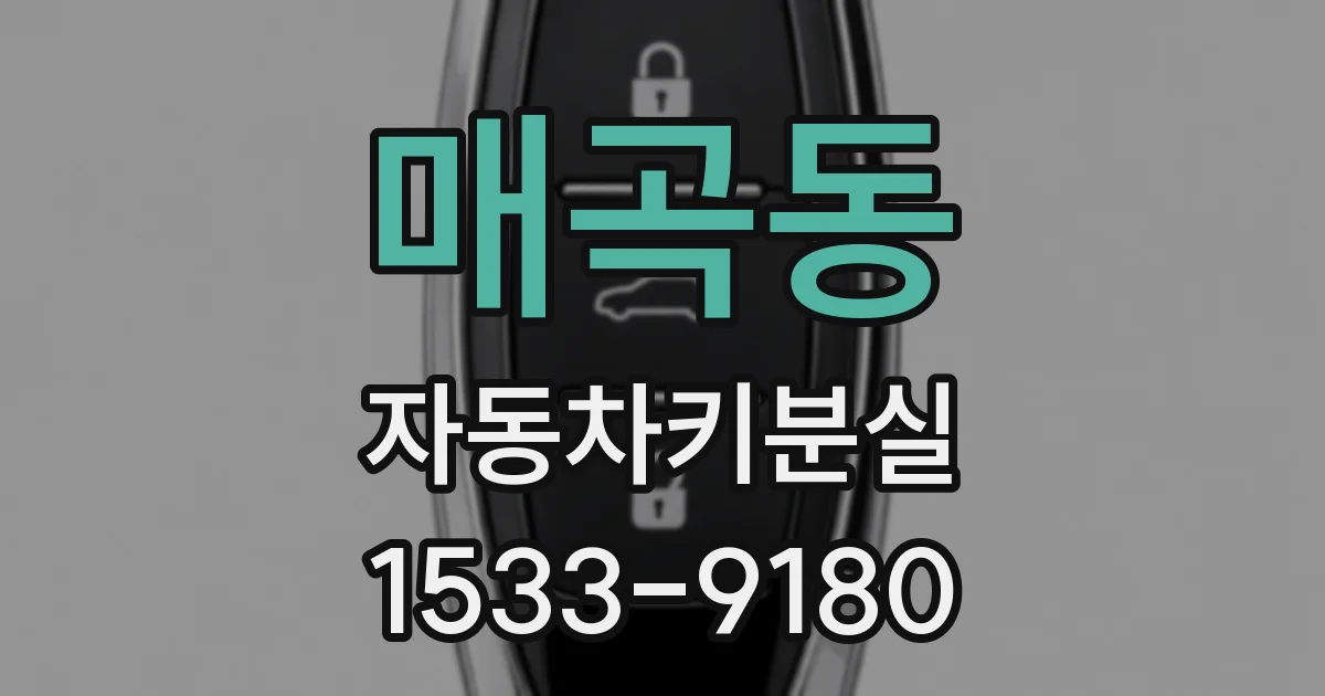매곡동 자동차키분실