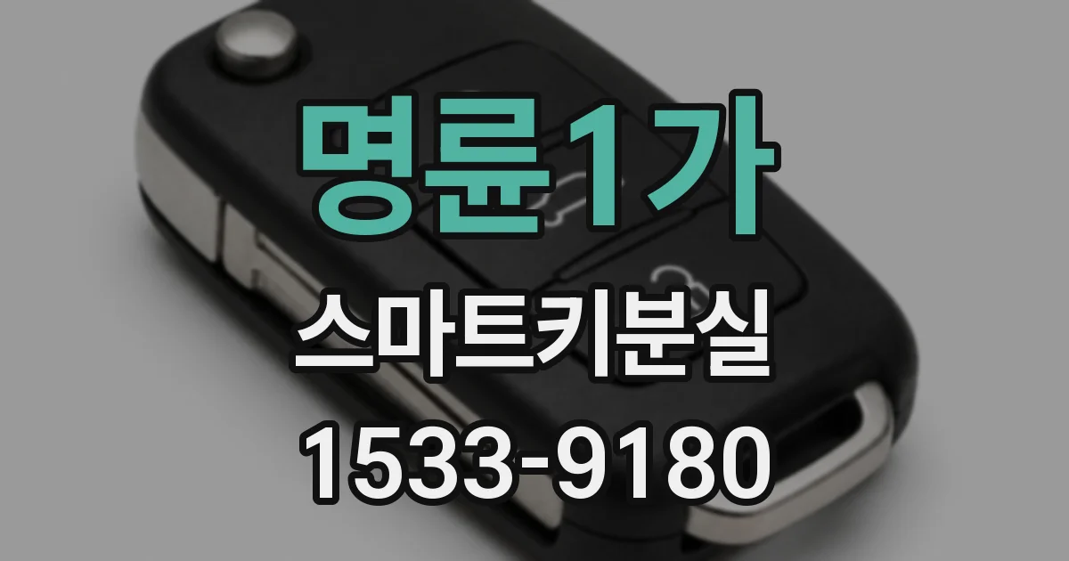 명륜1가 스마트키분실
