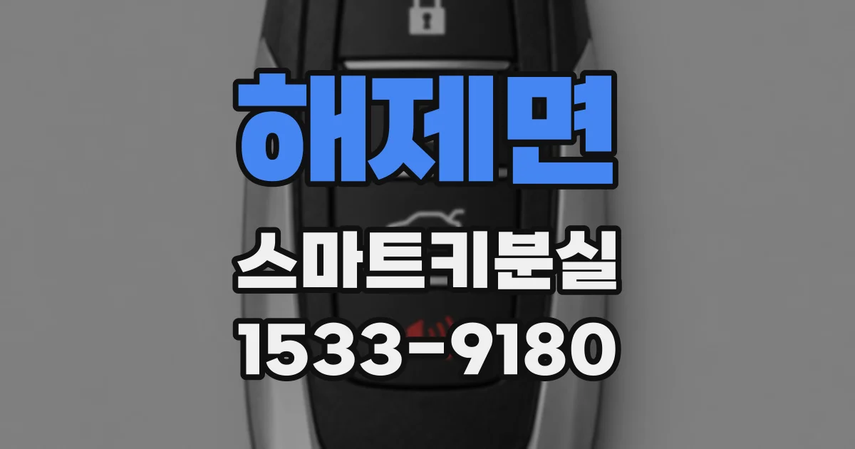해제면 스마트키분실