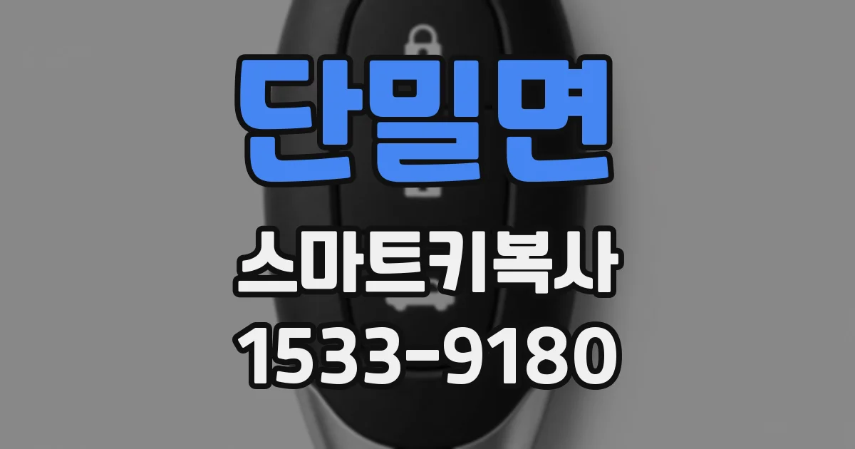 단밀면 스마트키복사