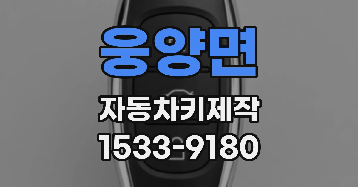 웅양면 자동차키제작