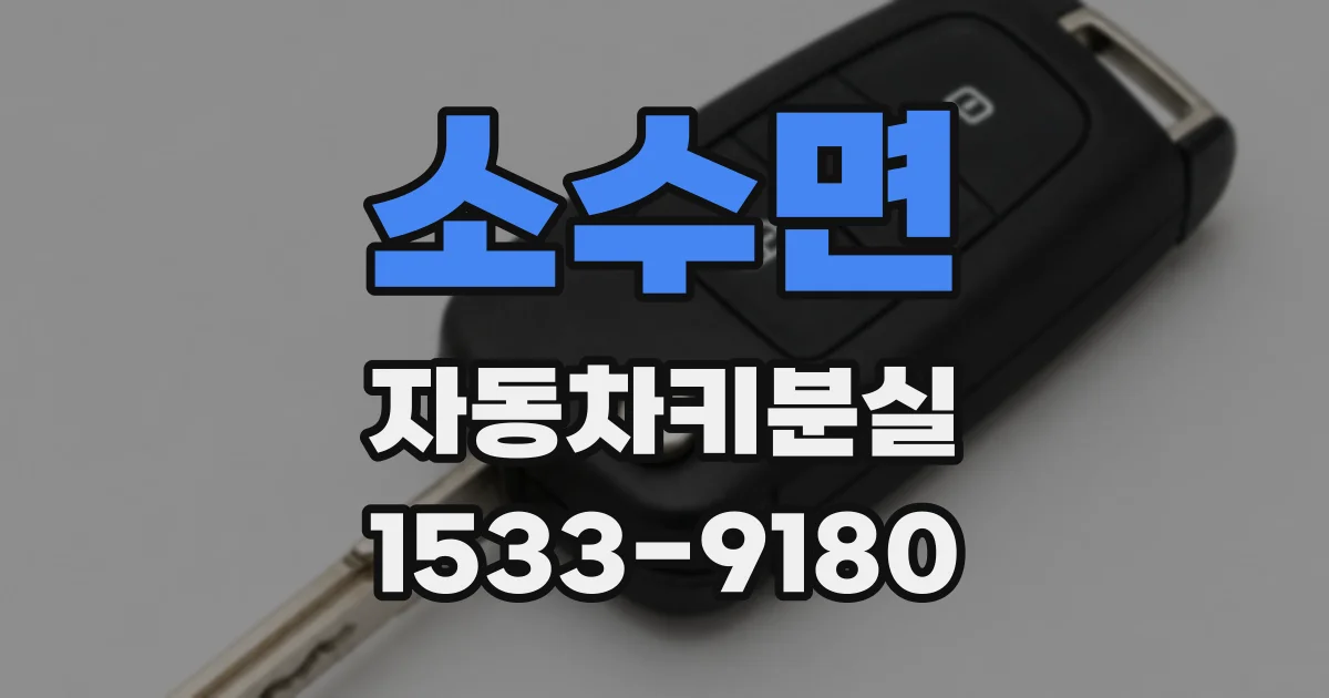 소수면 자동차키분실
