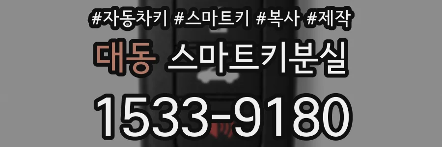 대동 스마트키분실